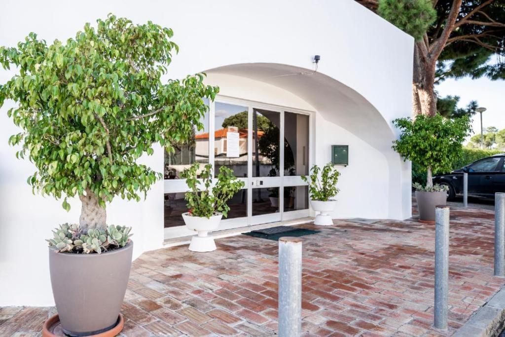 Vieira Apartment 1 กัวเตย์รา ภายนอก รูปภาพ